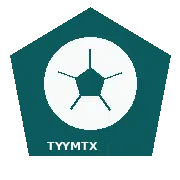 tyymtx.com
